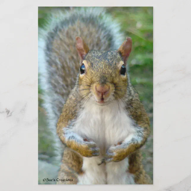 スウィートリス顔 | Zazzle.co.jp