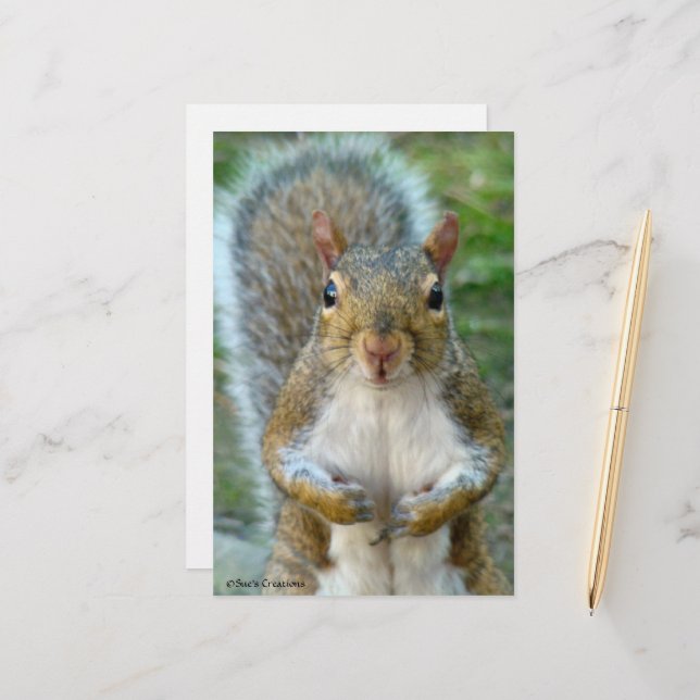 確認用　海外　初期　リス スウィートリス顔 | Zazzle.co.jp