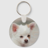 ホワイトチワワ、エーチワワ キーホルダー | Zazzle.co.jp