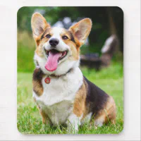 トライカラーペンブロークウェルシュコーギー子犬 マウスパッド | Zazzle.co.jp