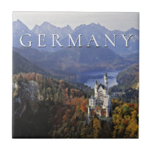 Germany 風景陶器タイル 楽天市場】床タイル 200角 セメントタイル ベトナム フレンチ