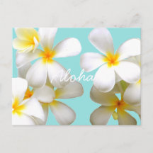 プルメリアポストカード| Zazzle JP プルメリアポストカード| Zazzle JP