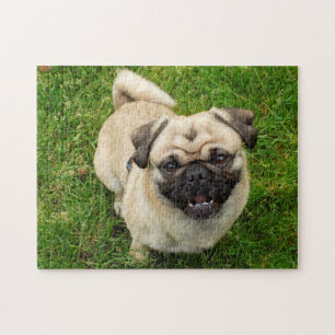 パグパズル | Zazzle JP