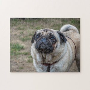 パグパズル | Zazzle JP