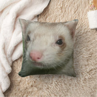 ファーベビーのかわいい顔オブアフェレット クッション | Zazzle.co.jp
