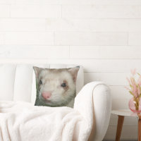 ファーベビーのかわいい顔オブアフェレット クッション | Zazzle.co.jp