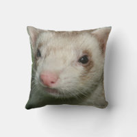 ファーベビーのかわいい顔オブアフェレット クッション | Zazzle.co.jp