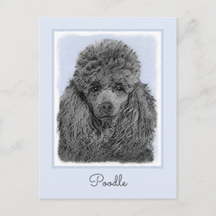 トイ プードルポストカード| Zazzle JP