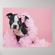ボストン テリアウォールアート&デコレーション | Zazzle JP