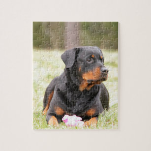 ロットワイラー 犬パズル | Zazzle JP