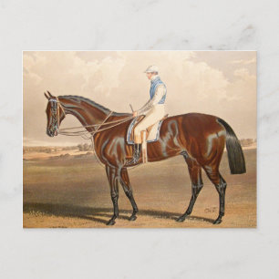 競走 馬ポストカード| Zazzle JP