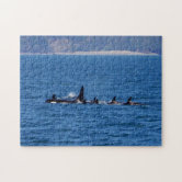 シャチ家族 ジグソーパズル | Zazzle.co.jp
