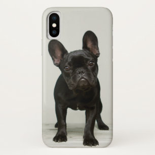 CASETiFY フレンチブルドッグ iPhoneケース CASETiFY フレンチブルドッグ iPhone 15 Pro ケース - メルカリ