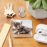 最も可愛い赤ん坊の動物 |ミニ虎猫子猫 キーホルダー | Zazzle.co.jp