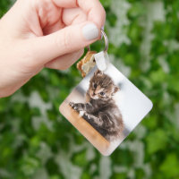 最も可愛い赤ん坊の動物 |ミニ虎猫子猫 キーホルダー | Zazzle.co.jp