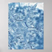 氷結晶凍っていフラクタル雪片 ポスター | Zazzle.co.jp