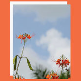 炎の花01 | Zazzle.co.jp
