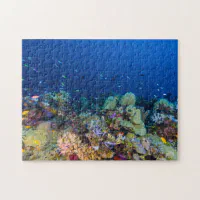熱帯魚のグレート・バリア・リーフの珊瑚海 ジグソーパズル | Zazzle.co.jp
