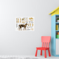 猫骨格解剖図ポスター ポスター | Zazzle.co.jp