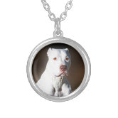 怒ピットブル犬 シルバープレートネックレス | Zazzle.co.jp