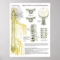 脊髄神経・亜脱臼カイロプラクティックポスター ポスター