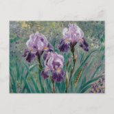 クロード・モネ：モネの庭のアイリス ポストカード | Zazzle.co.jp