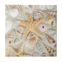 60cm 大型　貝殻アートタイル 竪琴を奏でる。 貝殻 タイル | Zazzle.co.jp