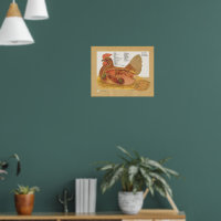 鶏の鶏内解剖図 ポスター | Zazzle.co.jp